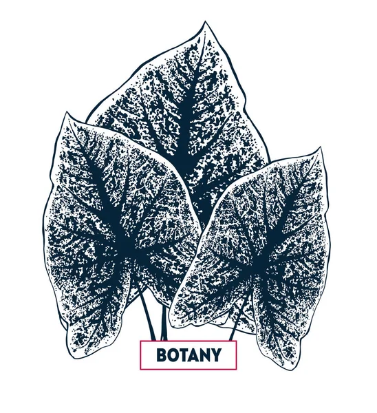 Tropikalne liście karty Wektor Stockowy