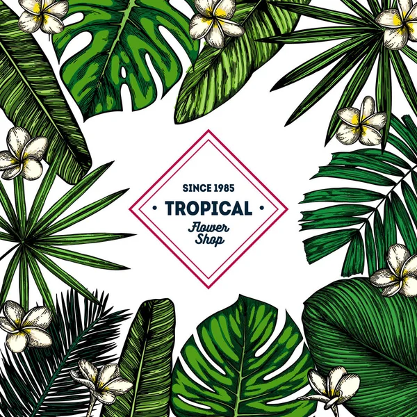 Hojas tropicales verdes Ilustraciones De Stock Sin Royalties Gratis