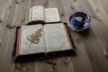 Morning tea and Bibles clipart