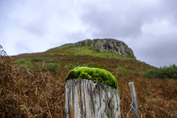 Moss en fencepost Skye — Foto de Stock