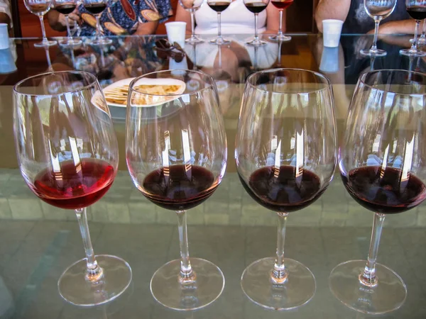 Degustación de vinos en el viñedo Imágenes de stock libres de derechos