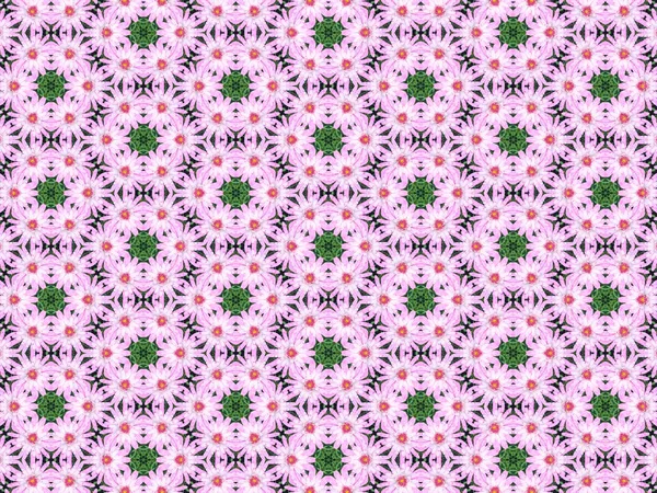 Repetir patrón flor rosa —  Fotos de Stock