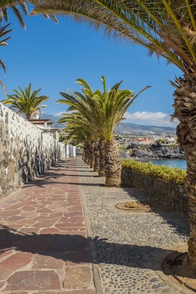 Alcala Tenerife güneşli sahil