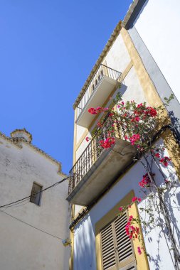 Ibiza badanalı ev