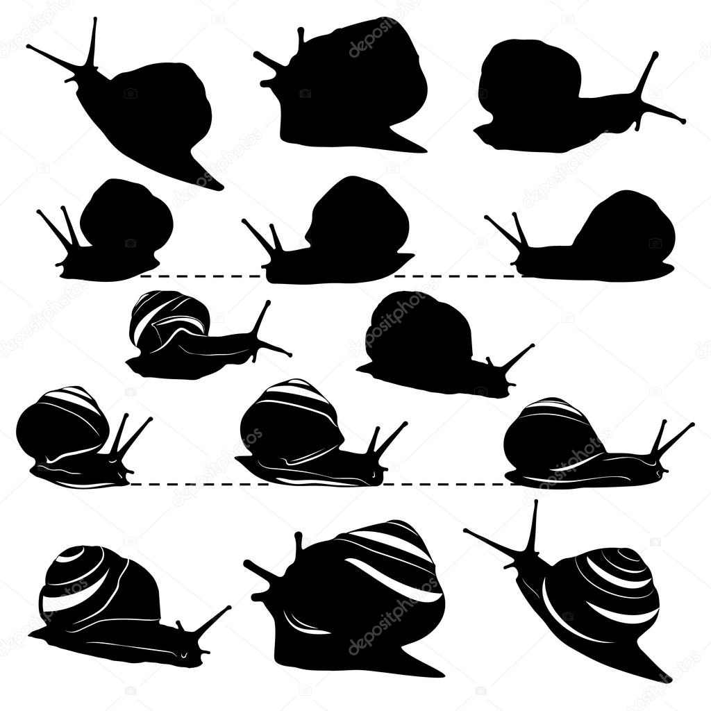 A set of silhouettes of snails their movement