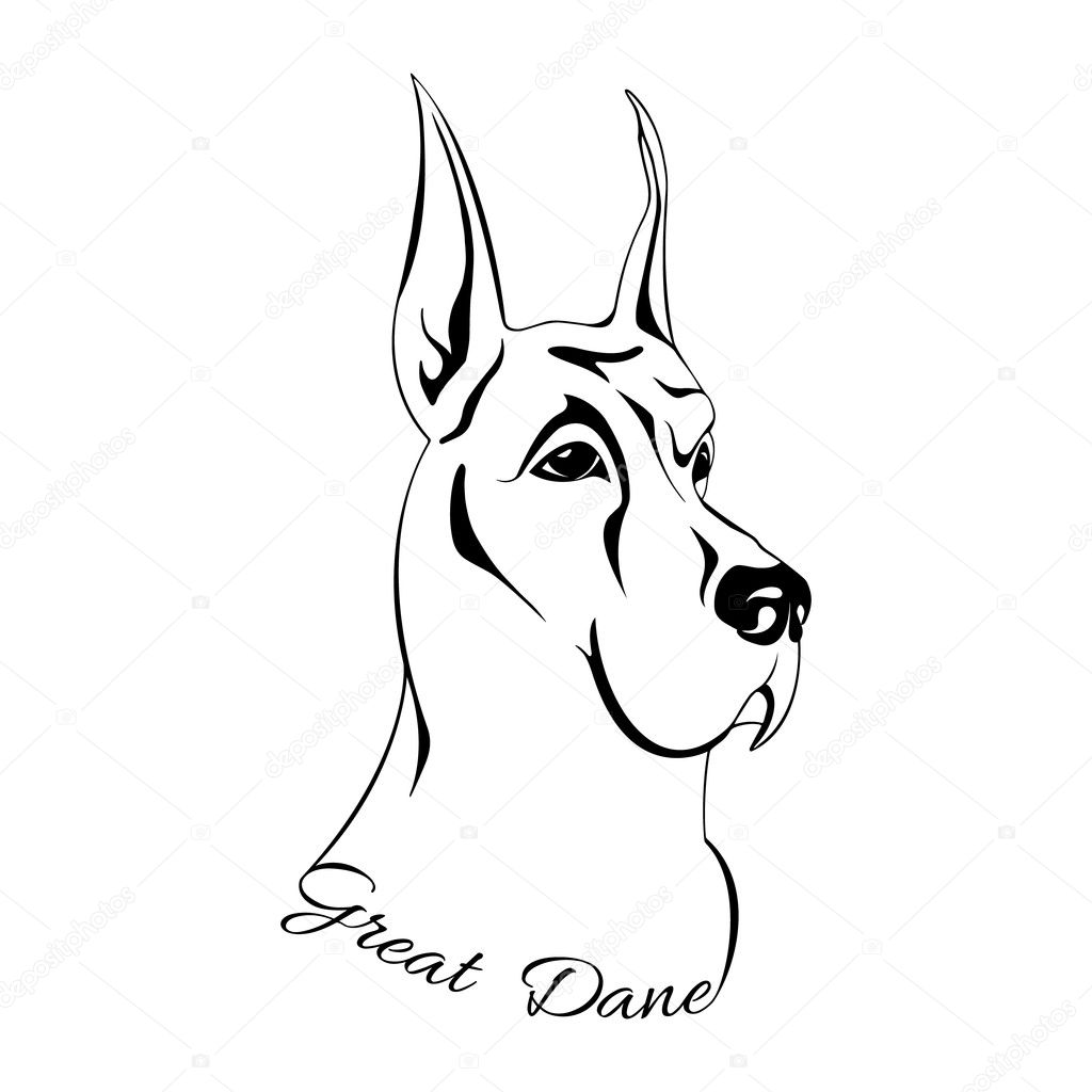 Outline drawing of the dog's head and the words Great Dane