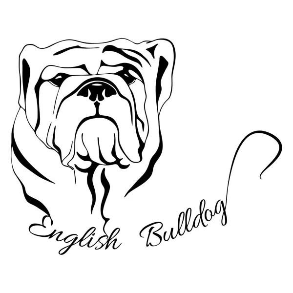 Cane testa isolato Bulldog inglese — Vettoriale Stock