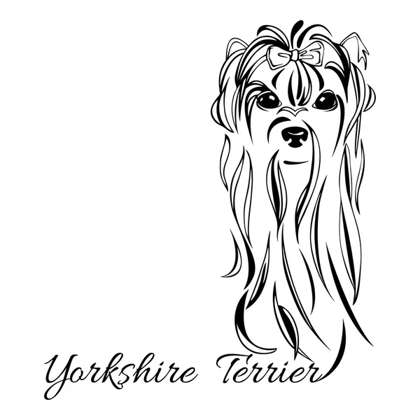 Yorkshire Terrier dog head — Stockový vektor