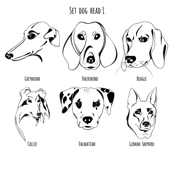 Set cabeça de cão 1 — Vetor de Stock