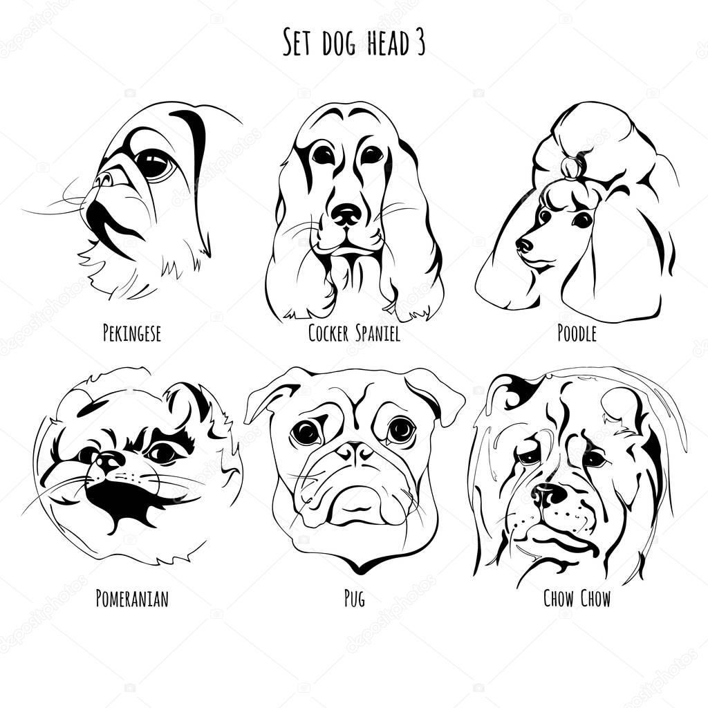 A set of contour drawing breed Pekingese, Poodle, Cocker Spaniel, Pomeranian, Pug, Chow Chow