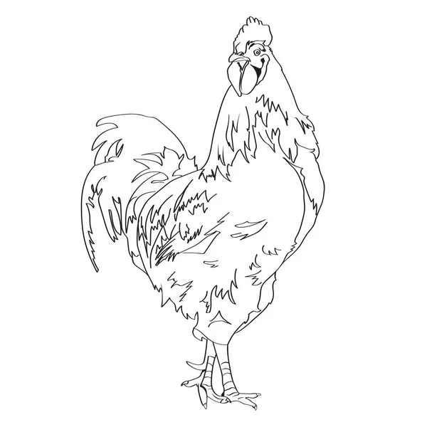 Sketch drawing of a Rooster 3 — Stock Vector