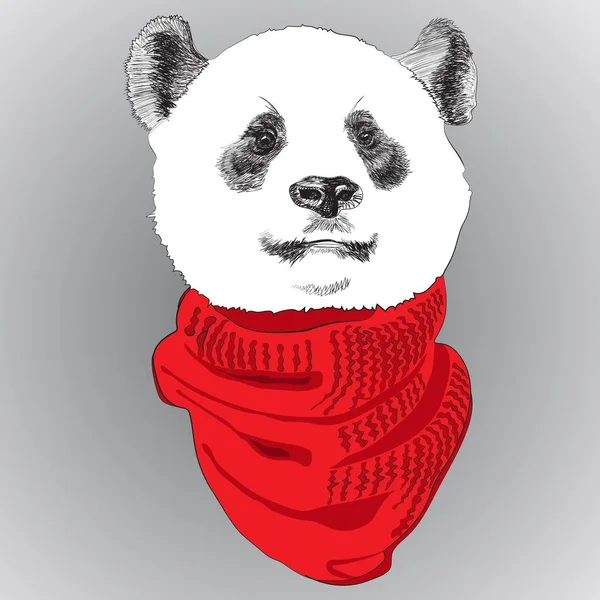 Портрет панды в вязаном шарфе — стоковый вектор