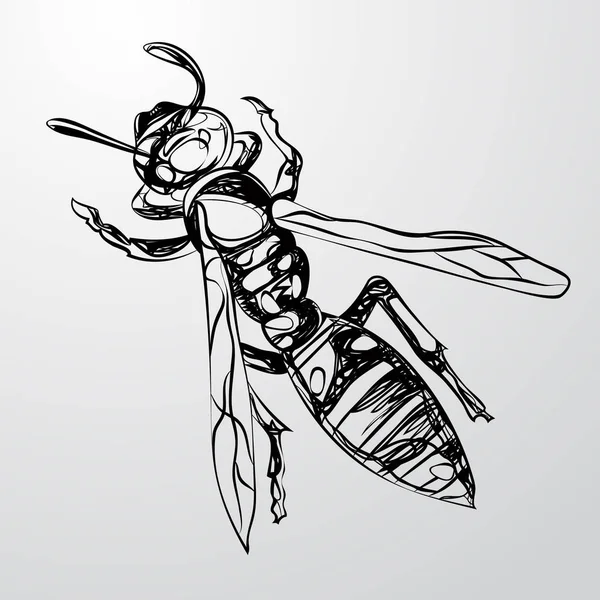 Draufsicht einer Wespe auf grauem Hintergrund — Stockvektor
