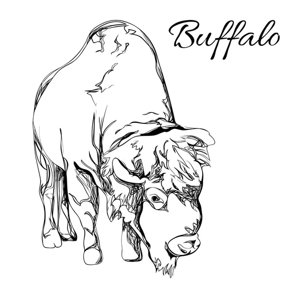 Buffalo dalam gaya grafis - Stok Vektor