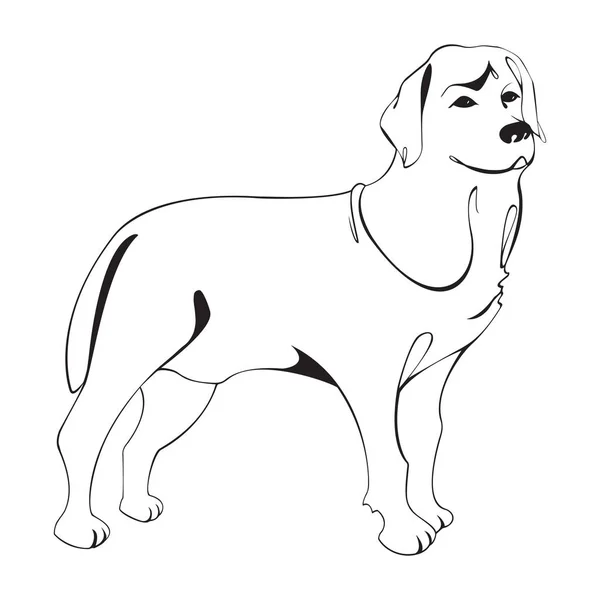 Labrador Vizsla kutya figura. — Stock Vector