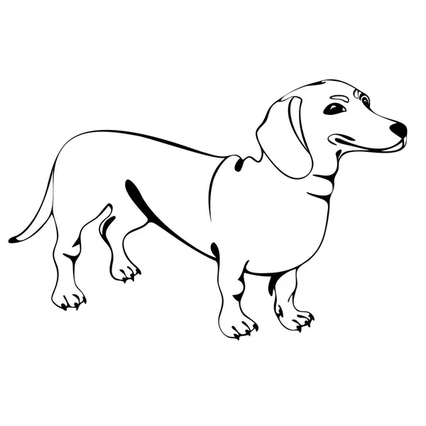 Dachshund figura do cão — Vetor de Stock
