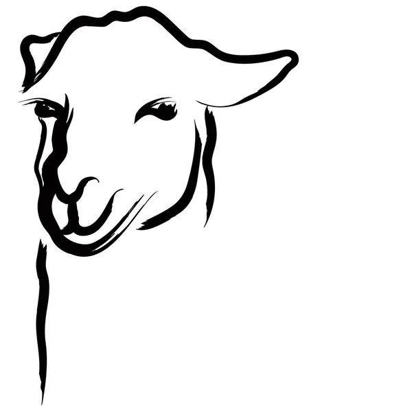 Logotipo principal Lama —  Vetores de Stock