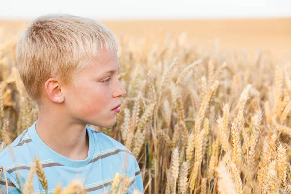 Мальчик отдыхает на кукурузном поле — стоковое фото