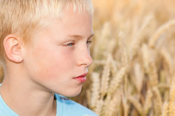 Мальчик отдыхает на кукурузном поле — стоковое фото