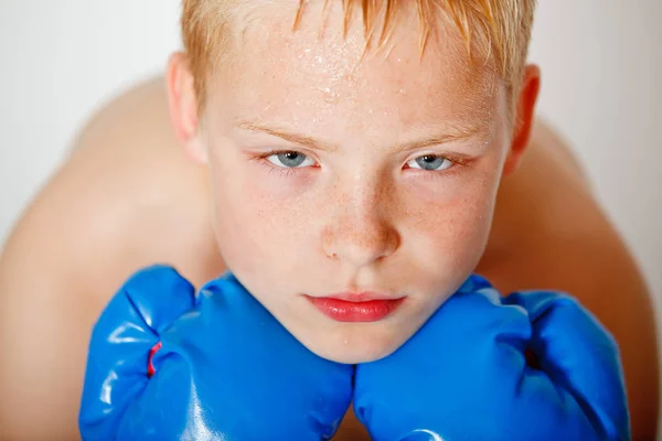 Portrait of a boxer boy — Stock Photo, Image
