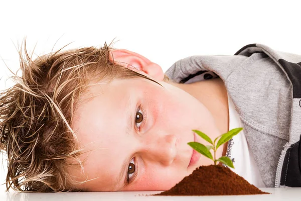 Jongen op zoek naar de plant in de bodem — Stockfoto