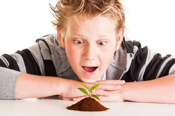 Menino olhando para uma pequena planta no solo — Fotografia de Stock