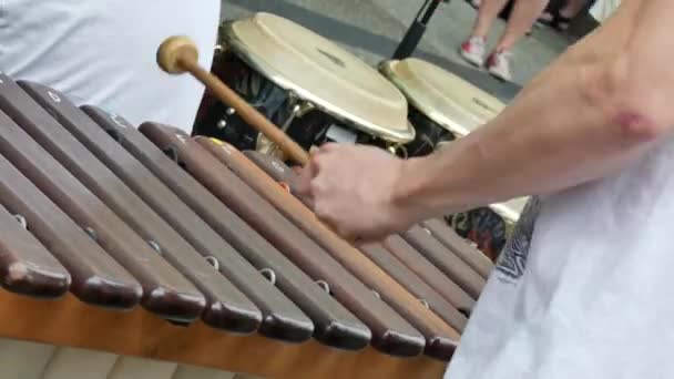 Mladý hudebník hraje xylofon — Stock video