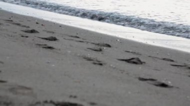 Aziz demetrius Katedrali