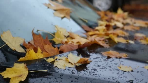 Оранжевые листья на классическом черном автомобиле — стоковое видео