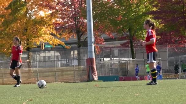 Chica pateando pelota de fútbol — Vídeo de stock