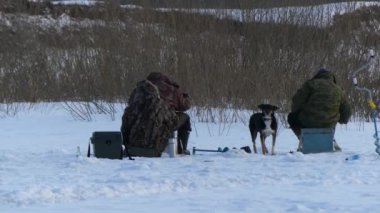 Buz balıkçılık erkek köpek