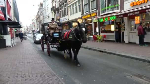 Кінні Карети рухається по центру міста Амстердам — стокове відео