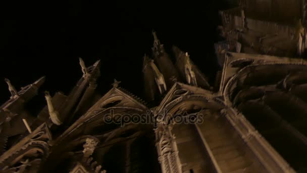 Notre Dame Gotik katedral duvar — Stok video