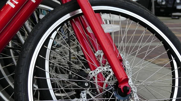 Novas bicicletas alinhadas rodas — Fotografia de Stock