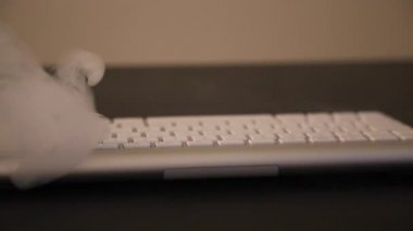 Klavye arka plan hareketli Rcih duman bulutu