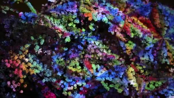 Kavram masal kiraz çiçeği karanlık — Stok video