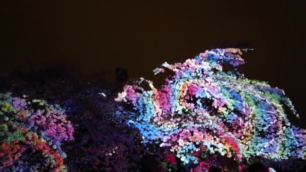 Ciliegio corona albero illuminato notte — Video Stock