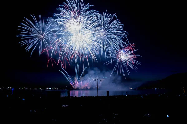 Mavi çiçekler havai fişek arka plan okyanus