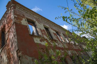 Terk edilmiş evde kavramı depresyon duvar windows yem