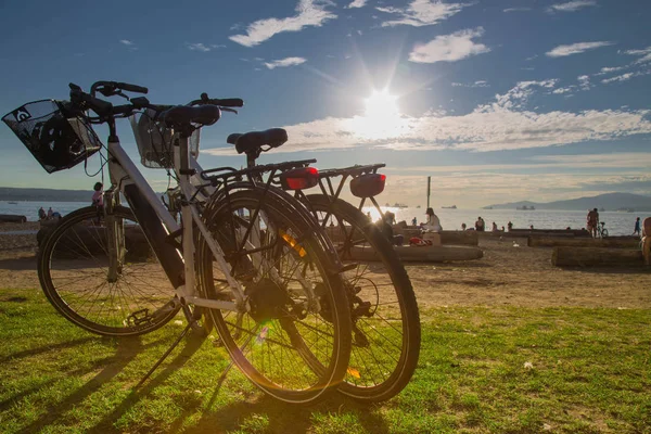 Konzept Sommer Fahrräder Natur Strand Kanada — Stockfoto