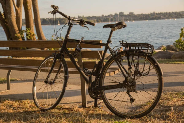 Retro-Fahrrad geparkt Ozean Küste Hintergrund sonniger Tag — Stockfoto