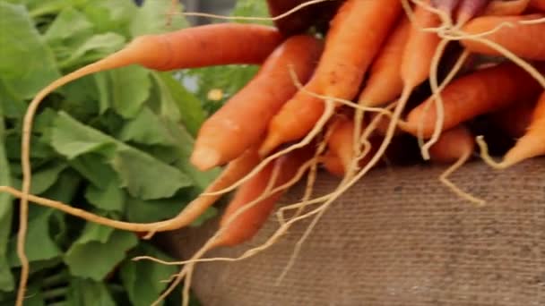 Raw pomerančové mrkev Farmářské trhy zeleniny closeup — Stock video