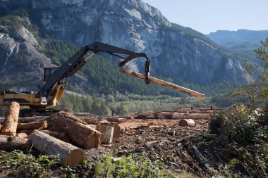 Sanayi sitesi kesilmiş ağaç işleme