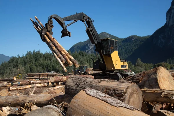 Hareket günlüklerini Orman Endüstri vinç