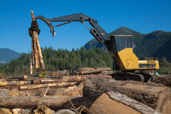 Endüstriyel ahşap site ulaşım araç iş işleme