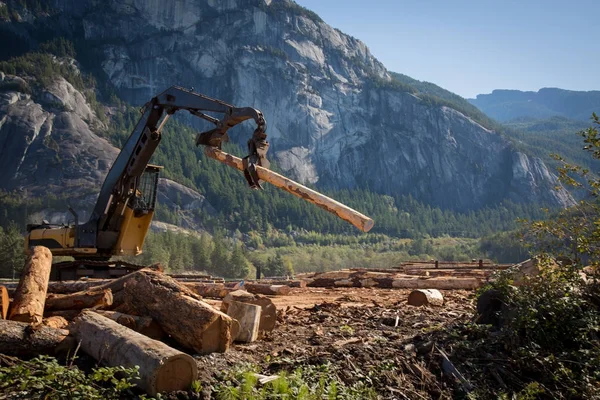 Macchine forestali lavorazione del legno sito — Foto Stock