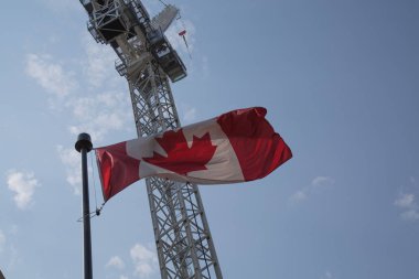 Ulusal Kanada bayrağı sallayarak vinç arka plan