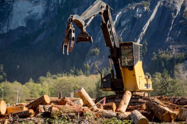 Ahşap lojistik sanayi makinesi hareketli güneşli gün günlüğe kaydeder.