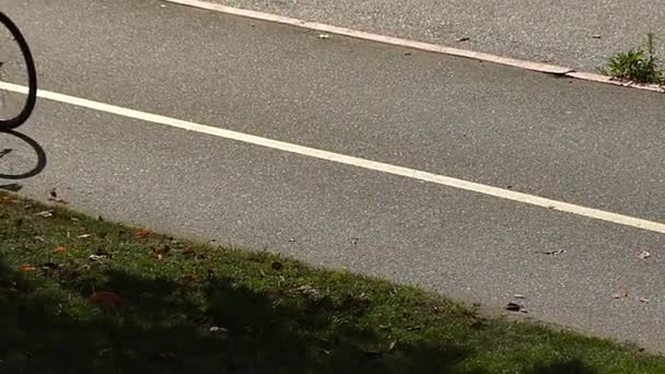 Slow motion silhouette bicyclist moving road — Stock Video