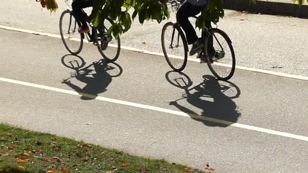 Câmara lenta macho fêmea equitação bicicletas verão — Vídeo de Stock